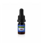 Αιθέριο Έλαιο Μπλε Χαμομήλι Blue Chamomile 5ml και 10ml Παραδοσιακά Προϊόντα Αλέξανδρος