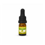 Αιθέριο Έλαιο Υλάνγκ Υλάνγκ - Ylang Ylang 5ml / 10ml